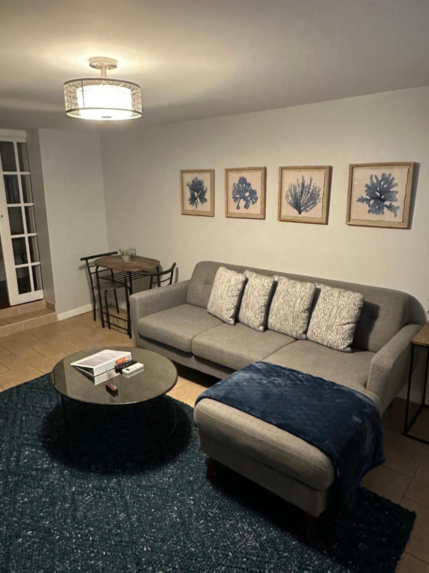 Morris Park Area Apartment New York Exterior photo